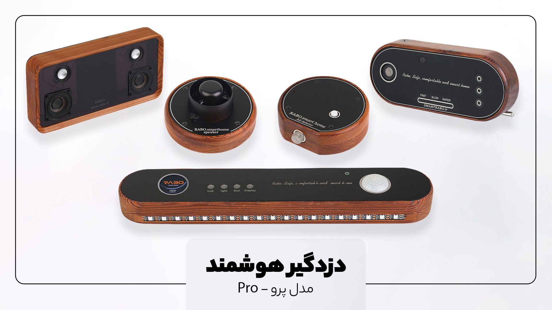 دزدگیر هوشمند پرو