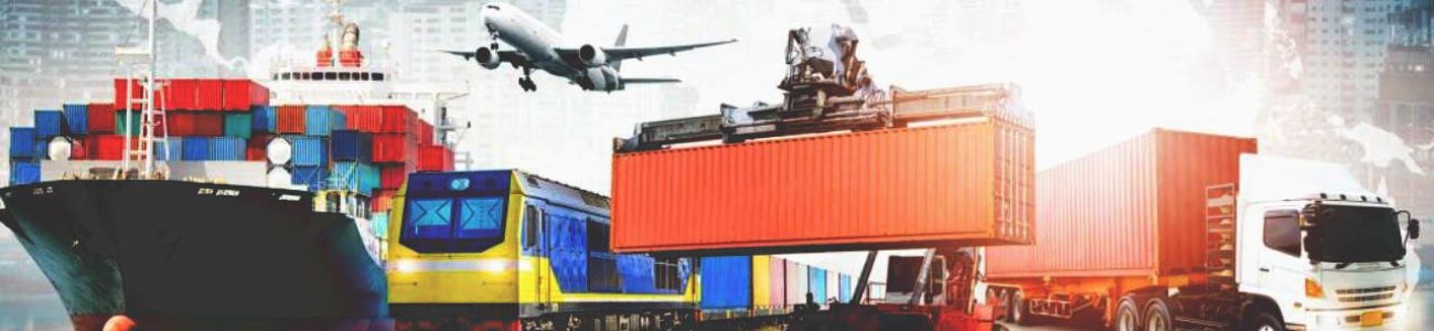Import-Export-Essentials-Mastering-the-Basics